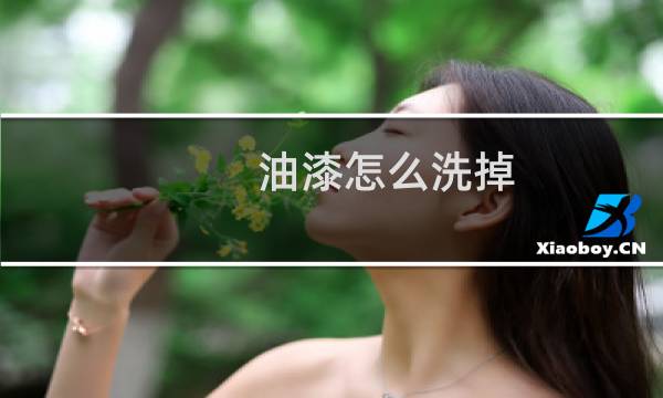 油漆怎么洗掉 衣服 - 衣服上有干油漆清除小窍门